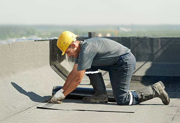 Best Insulation Repair Services  in USA